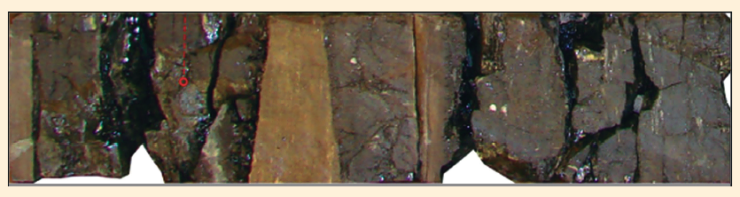 Рис. 7. Интенсивная раздробленность и трещиноватость пород, прилегающих к сбросу (скв. 191 Ватьеганского м/р; слой 7; пласт ЮВ1-1 интервал 2886,33 – 2886,77 м (2887,33 – 2887,77 м), аргиллиты, алевролиты с фрагментами зеркал скольжения)